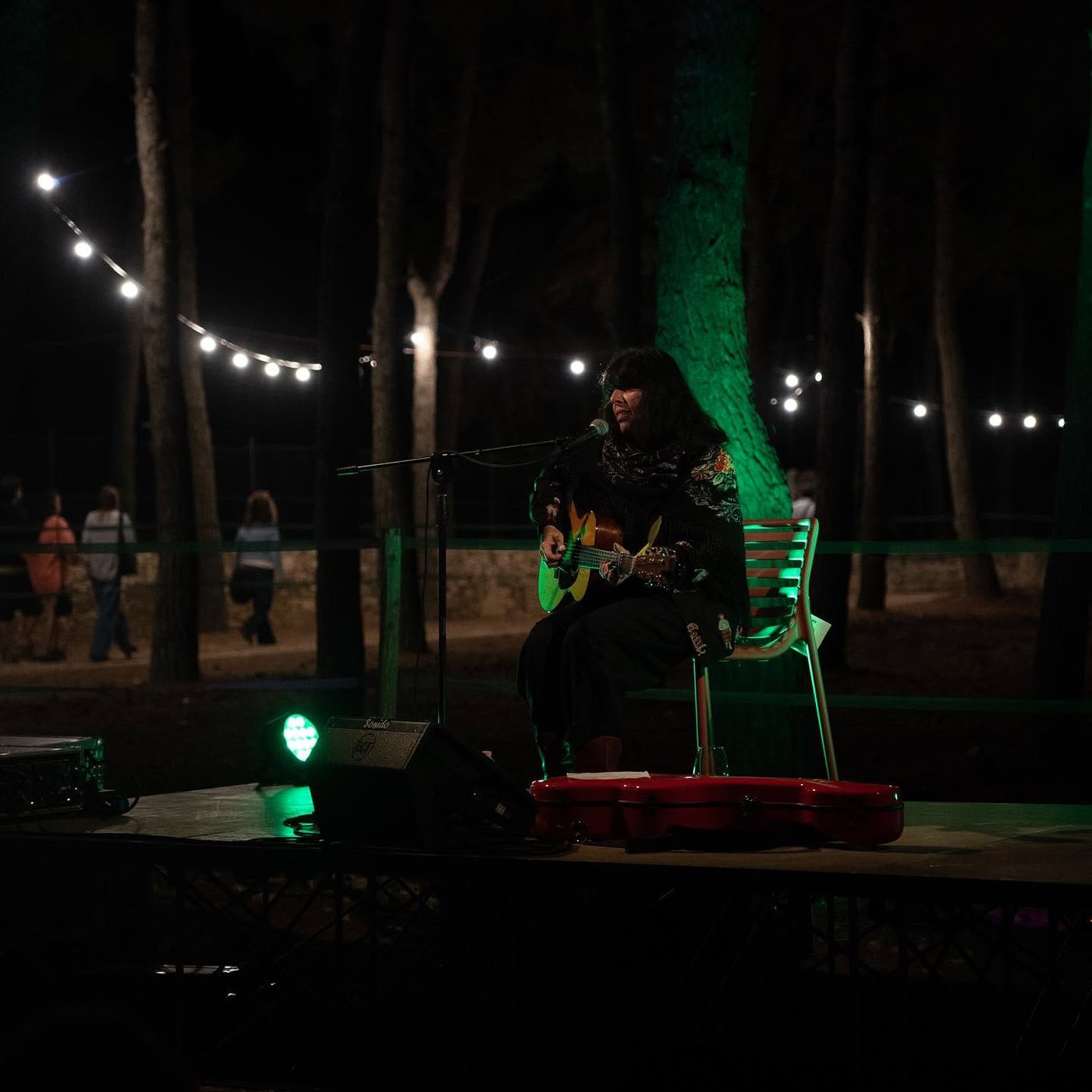 Cantautrice con chitarra durante il Secolare Fest
