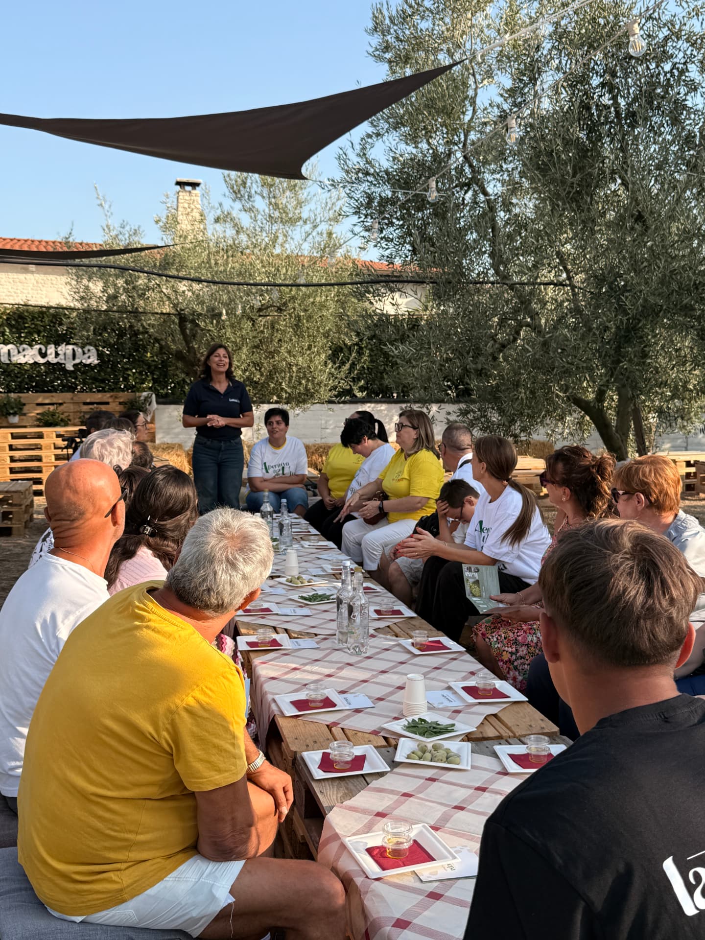 Tavolata conviviale fra gli ulivi durante l'Aperitivo fra gli Ulivi a Lamacupa, Corato