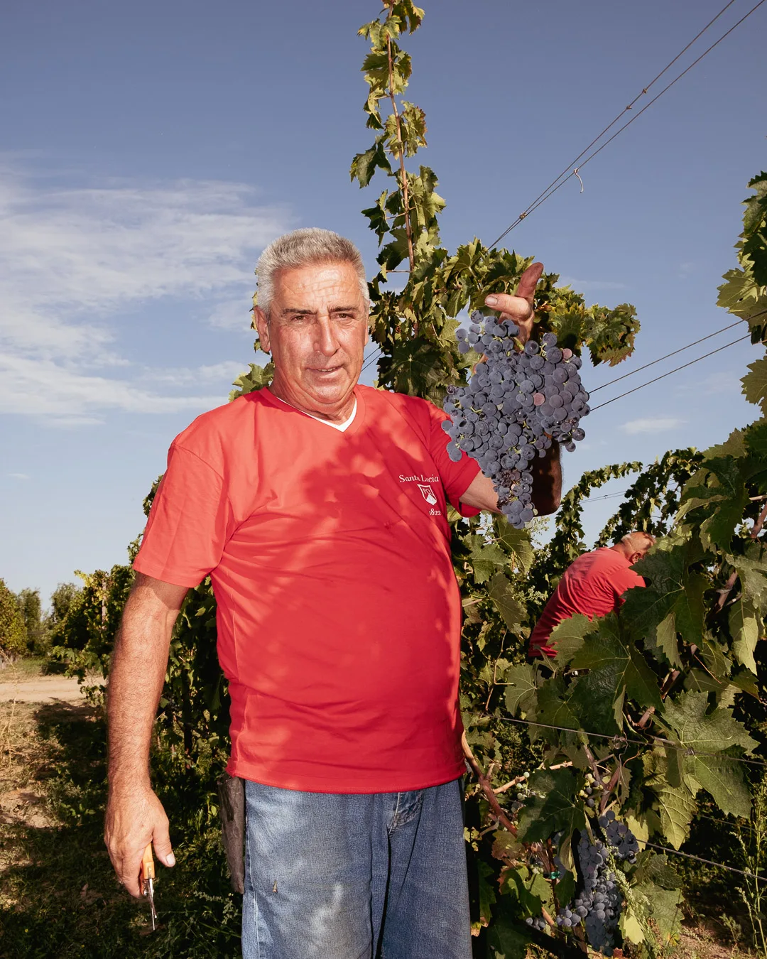 Ritratto di viticoltore con grappolo appena raccolto