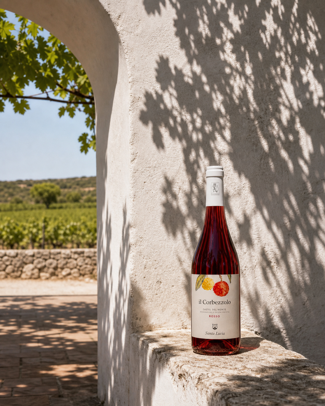 Azienda Agricola Santa Lucia — il Corbezzolo — arco di masseria affacciato sul vigneto