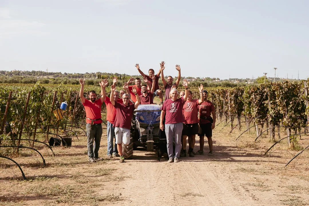 La squadra della vendemmia festeggia tra i filari